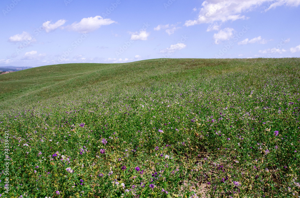 prairie toscane crete senesi prairie toscane crete senesi