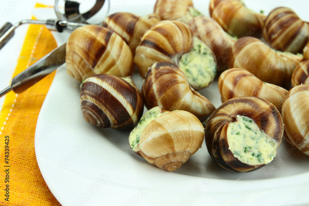escargots escargots