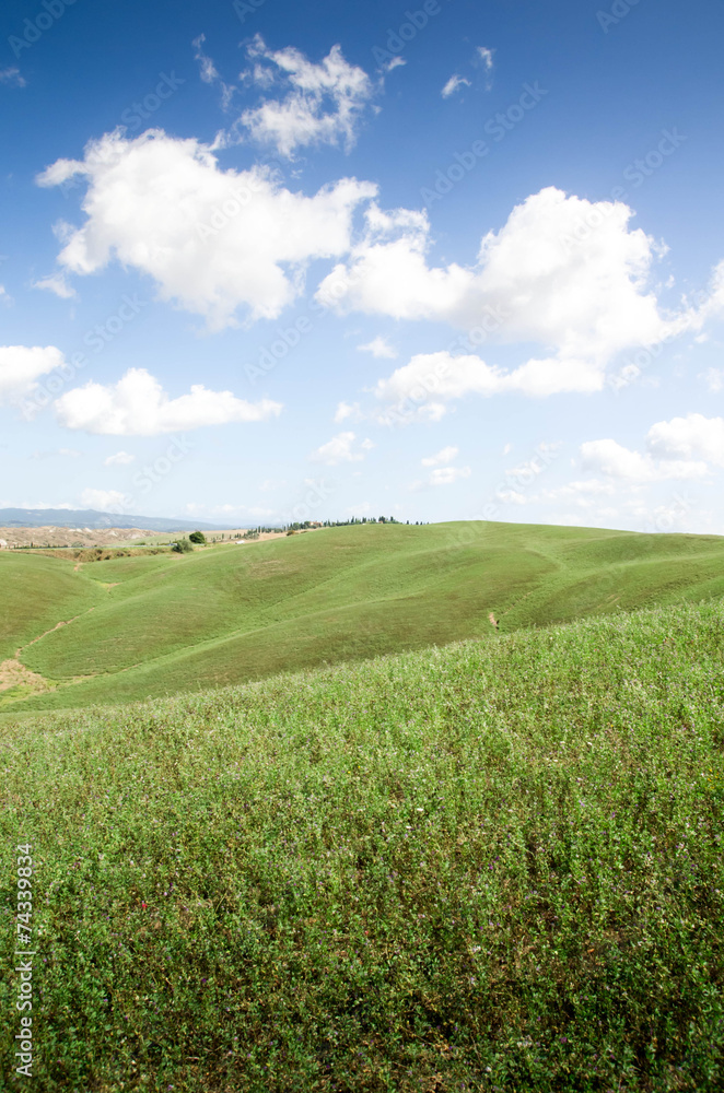 Obraz premium prairie toscane crete senesi