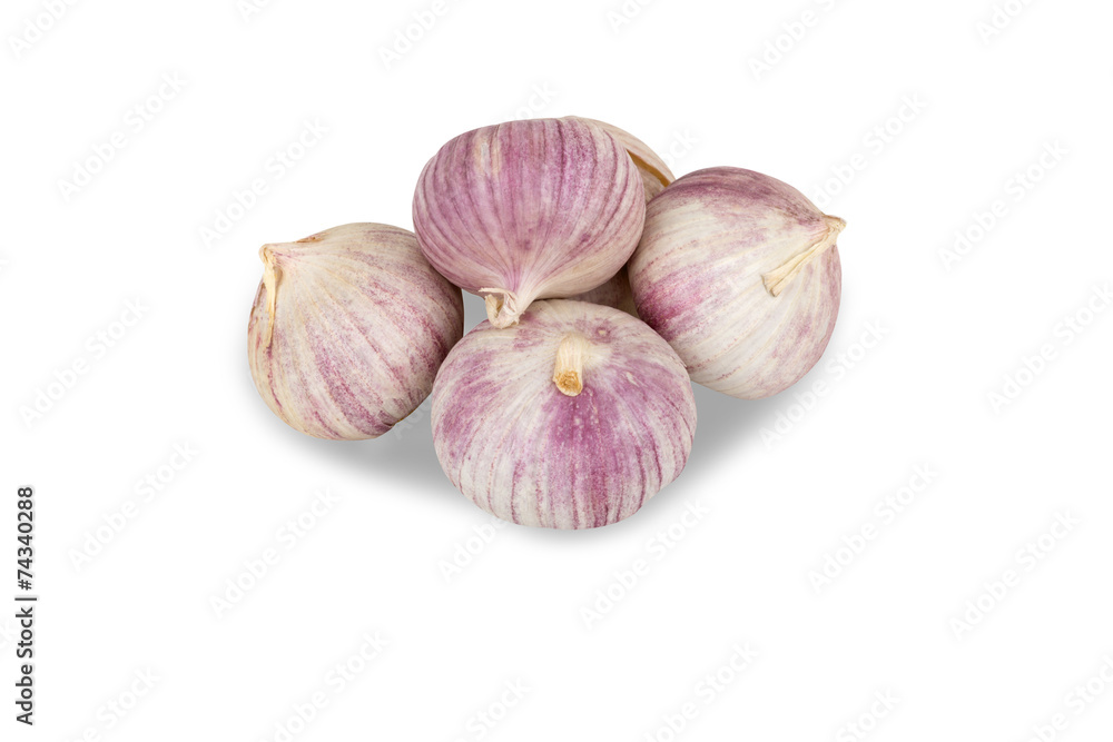Obraz premium several heads of garlic on a white background