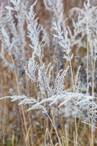 winter © Maksim Shebeko