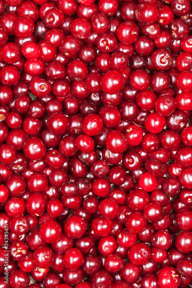 red cherry red cherry