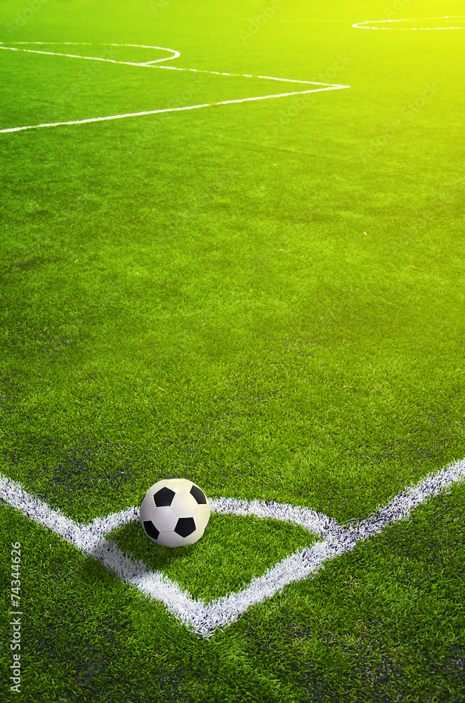 Soccer grass field with marking and ball, Sport - obrazy, fototapety, plakaty 