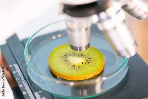 kiwi fruit in a laboratory microscope