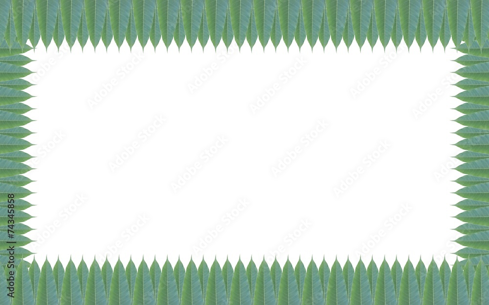 Green leaves frame isolated on white background Green leaves frame isolated on white background