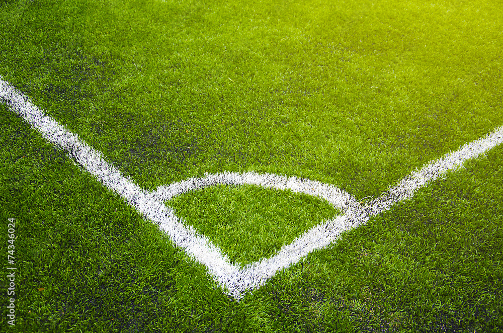 Soccer grass field with marking