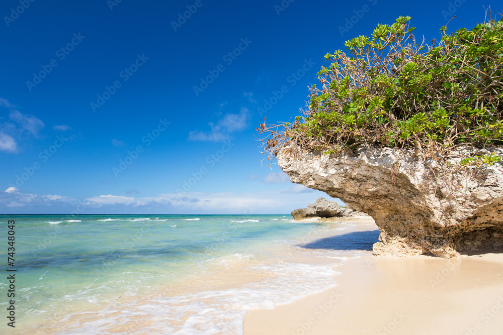 Fototapeta premium 沖縄のビーチ・ハンジャウリパーマ