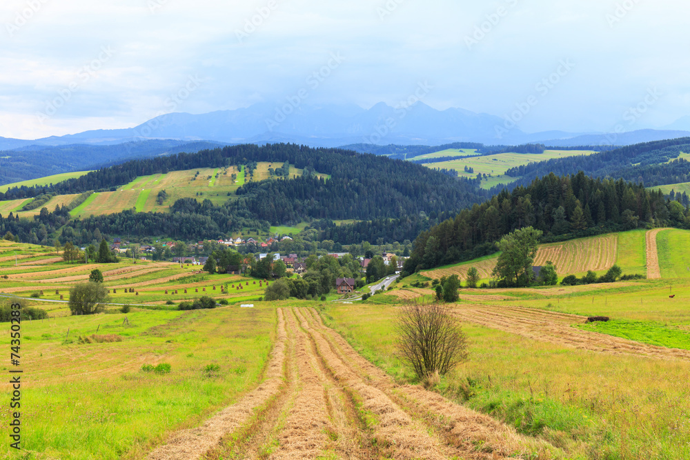 View from Spisz to The Tatra Mountains, Poland