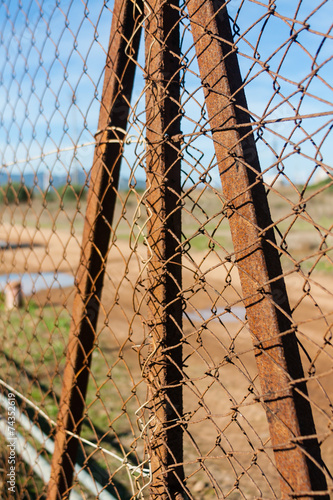 Rusted wire netting