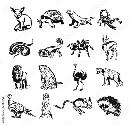 Desert animals vector black doodle outline pictogram icon set