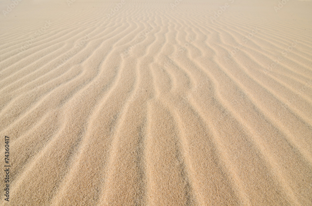 sand texture background sand texture background
