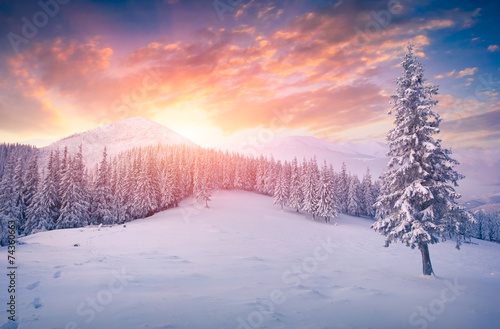 Colorful winter sunrise  in the mountains © Andrew Mayovskyy