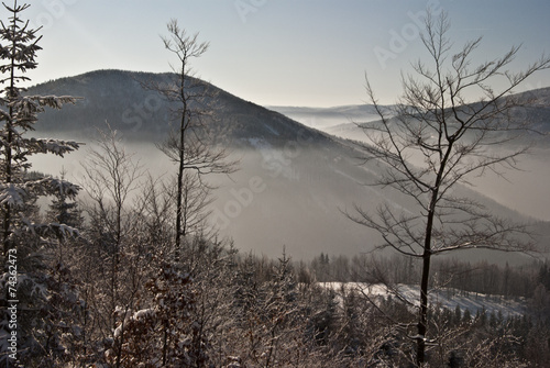 winter view to Smrk hill from Butoranka photo