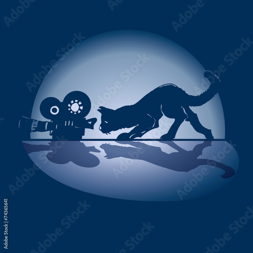 Katze, Kamera und Film