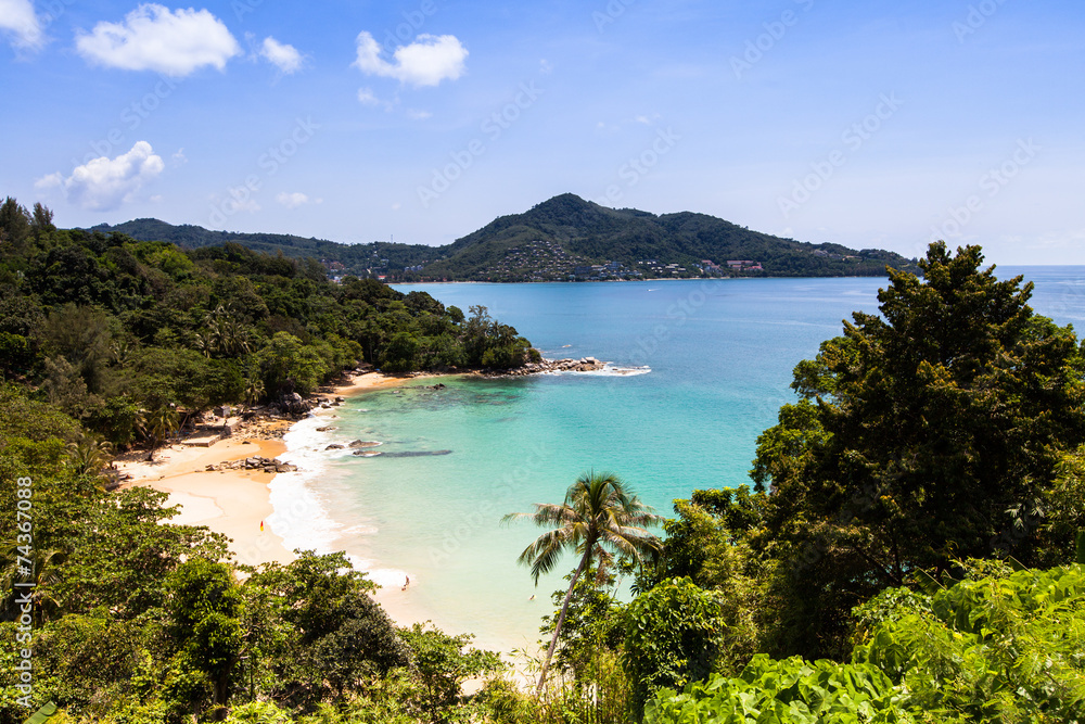 Obraz premium palm and a white sand beach.