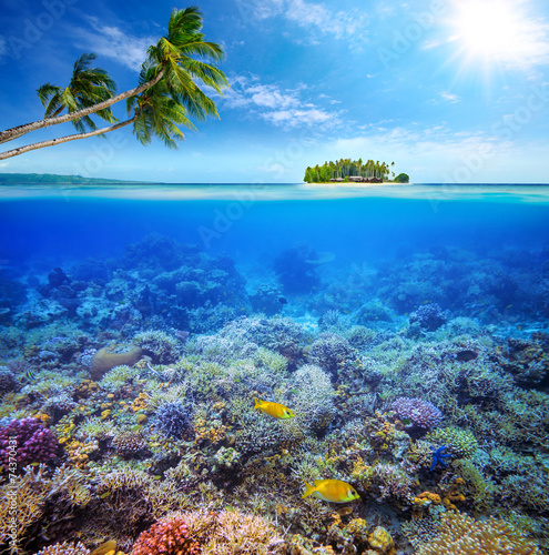 Coral reef with fish on background of small island. Maldives