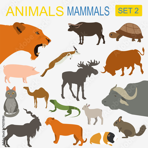 Animals mammals icon set. Vector flat style