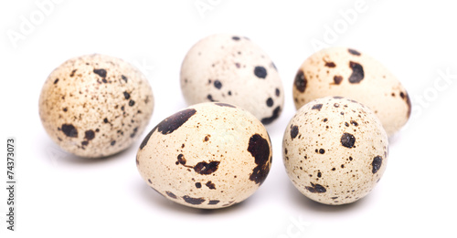 few quail eggs