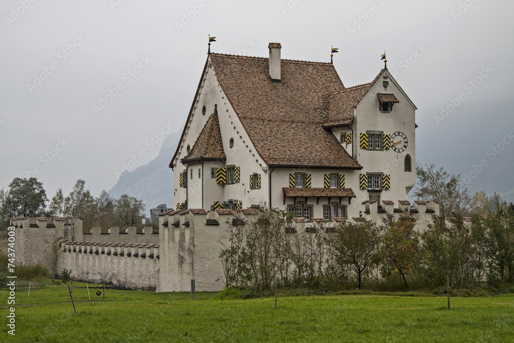 Schloss A Pro in Seedorf