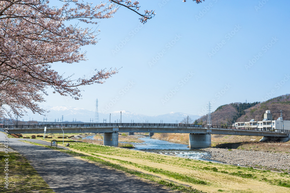 Obraz premium 桜と阿武隈川