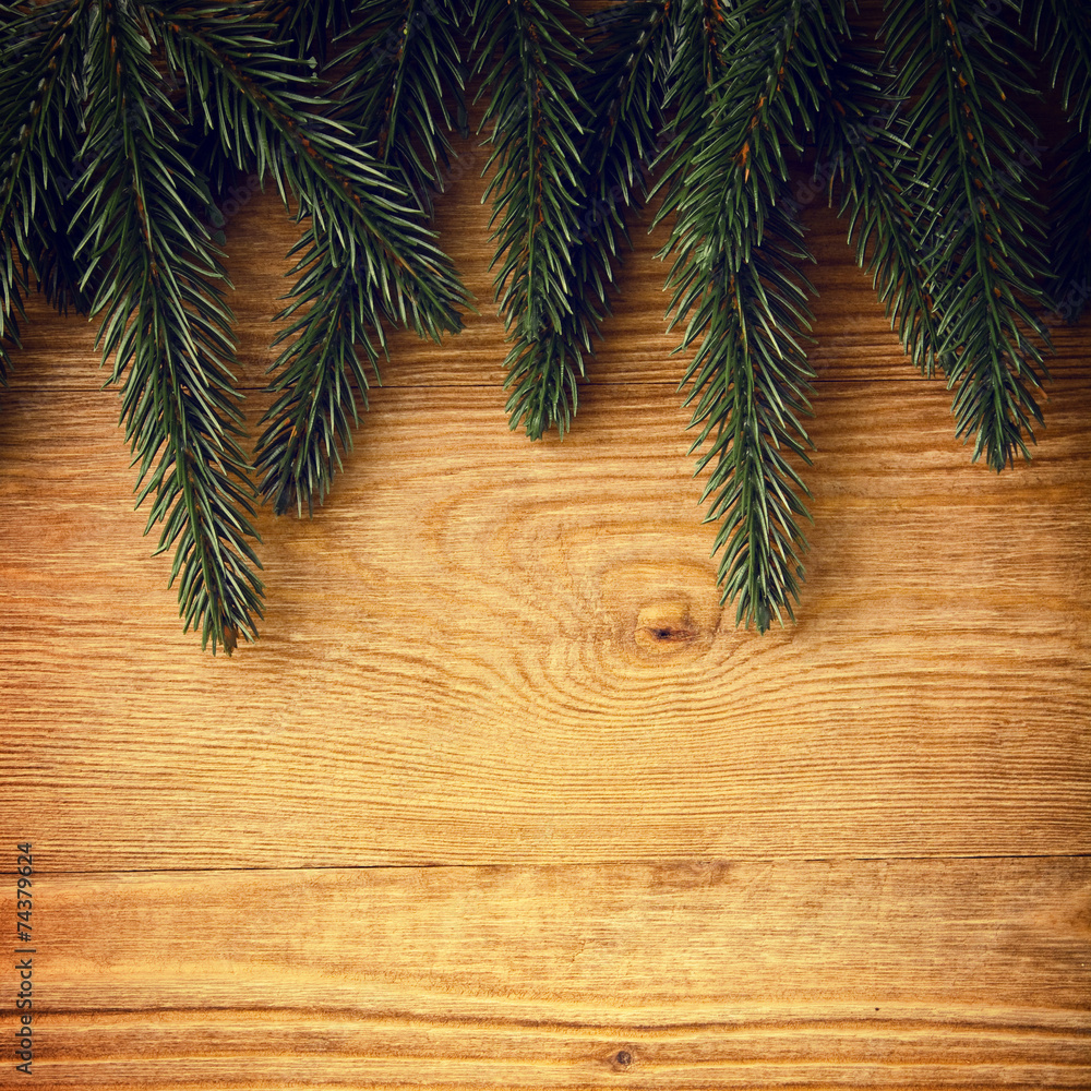 Christmas fir tree on the wood background Christmas fir tree on the wood background