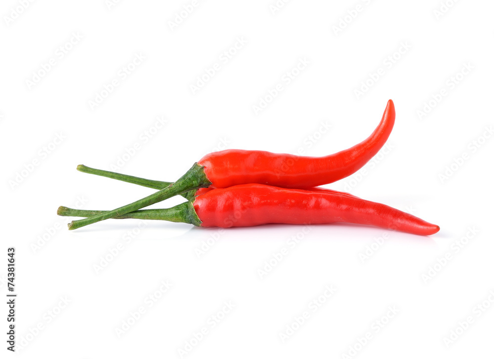 chili pepper isolated on a white background chili pepper isolated on a white background