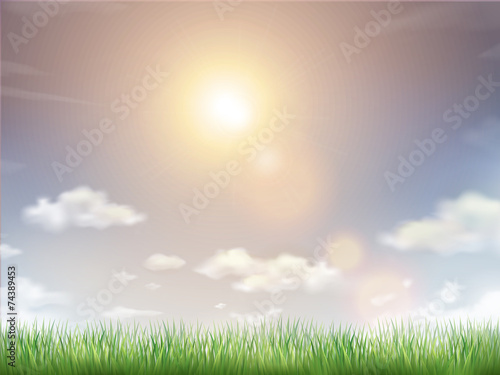 blue sky and field of green grass
