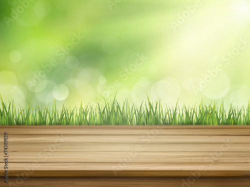 close-up look at natural grass background
