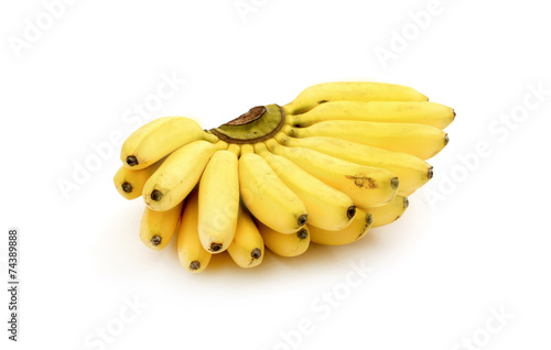 bunch of bananas isolated on a white background