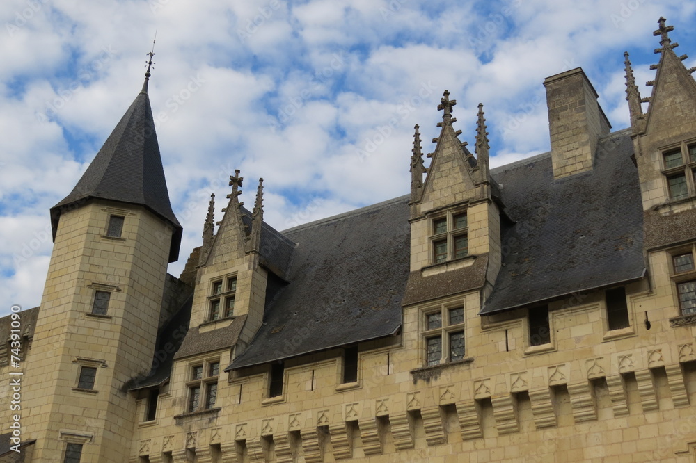 Maine-et-Loire - Château de Montsoreau - Machicoulis