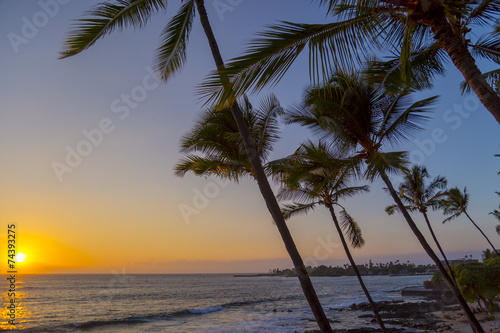 Fototapeta Naklejka Na Ścianę i Meble -  Sonnenuntergang mit Palmen