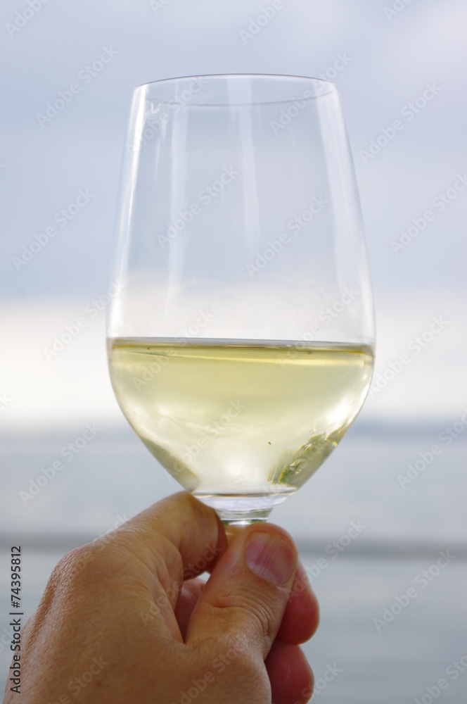 wine glass sea
