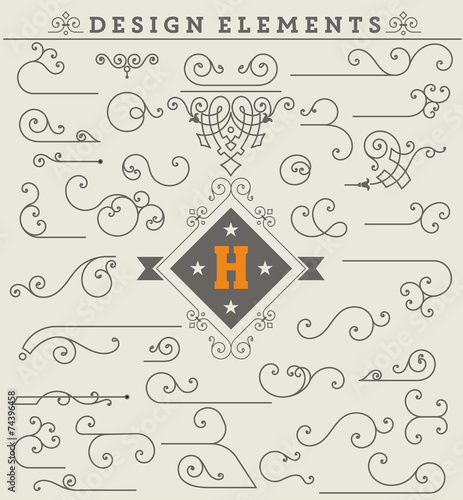 Vintage Ornaments Decorations Design Elements.  Vector stock