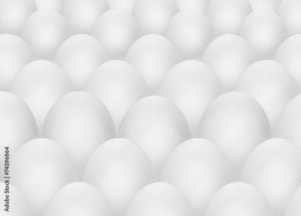egg