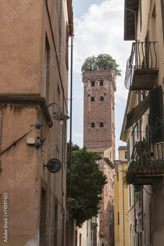 Fototapeta Naklejka Na Ścianę i Meble -  Guinigi tower in Lucca, Italy, with trees on the top