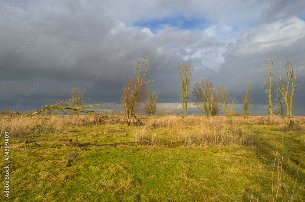 Deteriorating weather over nature in autumn Deteriorating weather over nature in autumn