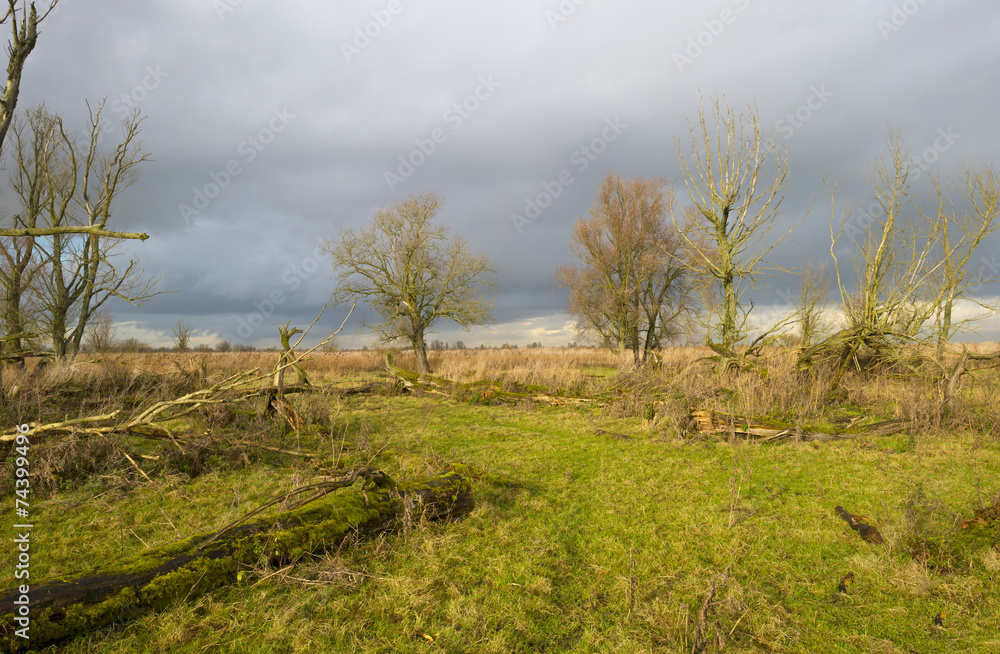 Deteriorating weather over nature in autumn