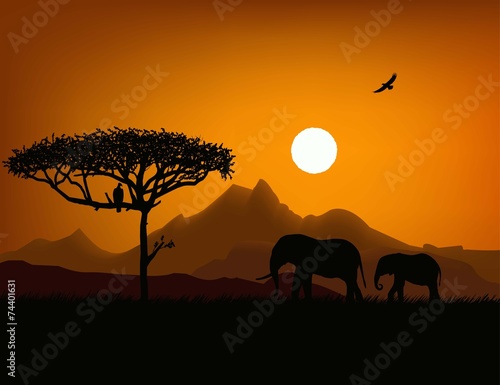 Sunset savanna © yakutovich