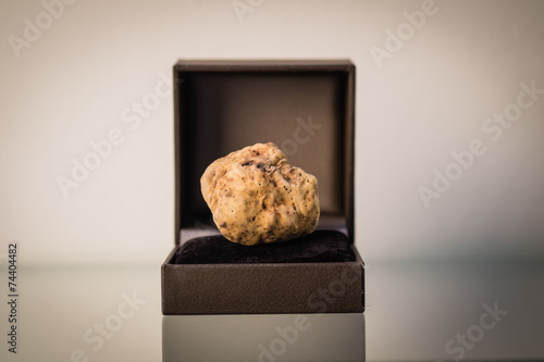 Bild auf Leinwand Tartufo bianco d' Alba