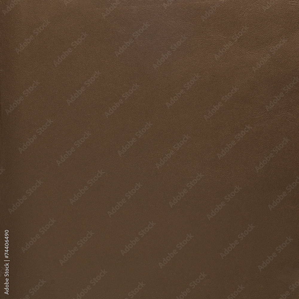 Fototapeta premium Brown leather