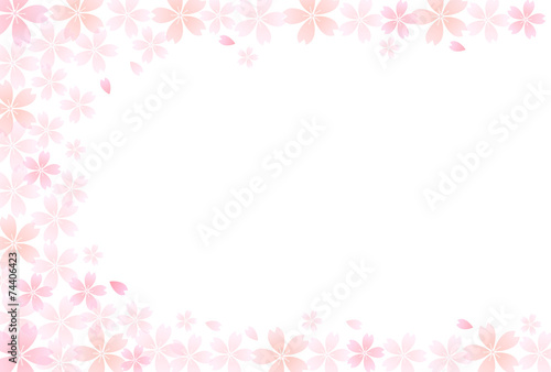 桜　花　背景