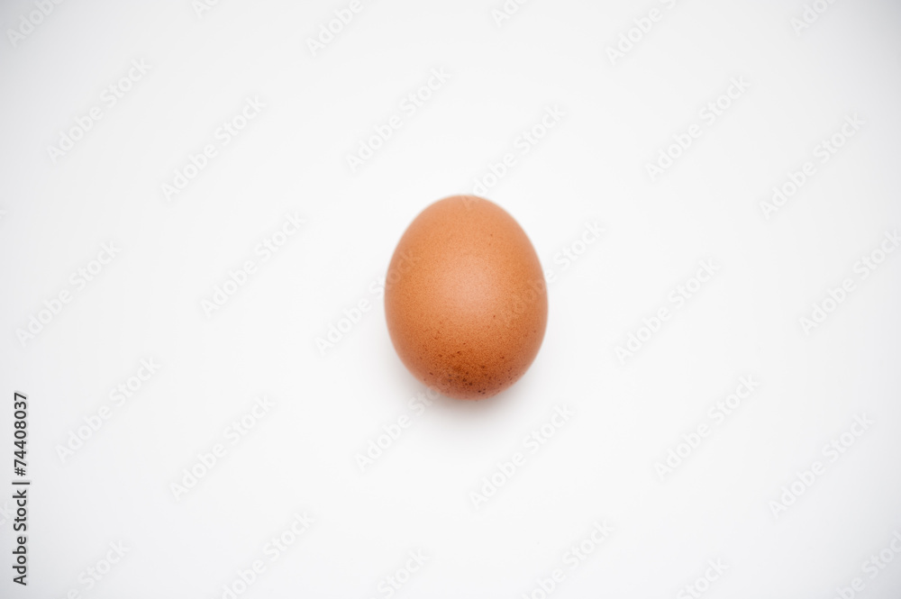 Egg on white background Egg on white background