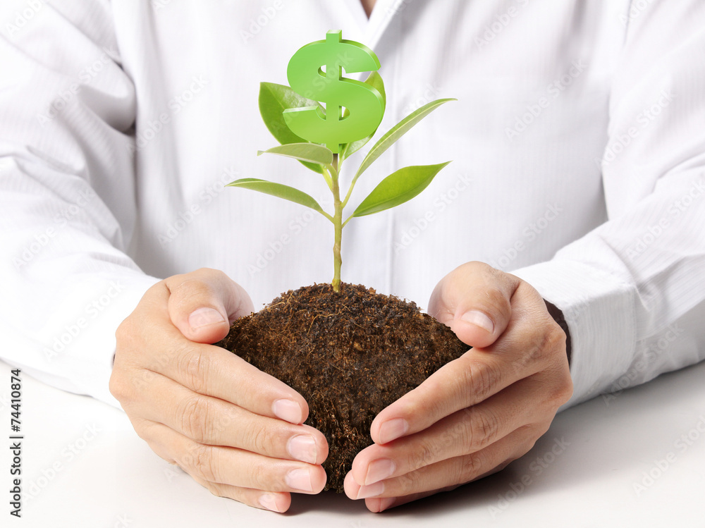 Money growing on tree