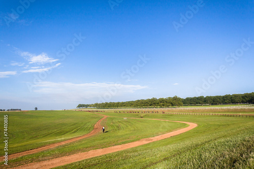 Race Horse Training Landscape