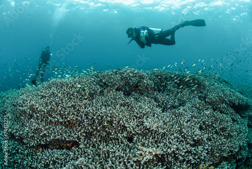 Divers, coral reef in Ambon, Maluku, Indonesia underwater photo