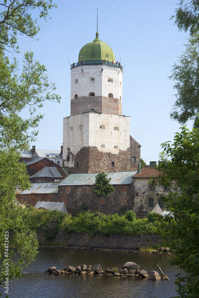 Вид на башню Святого Олафа летним днем. Выборгский замок