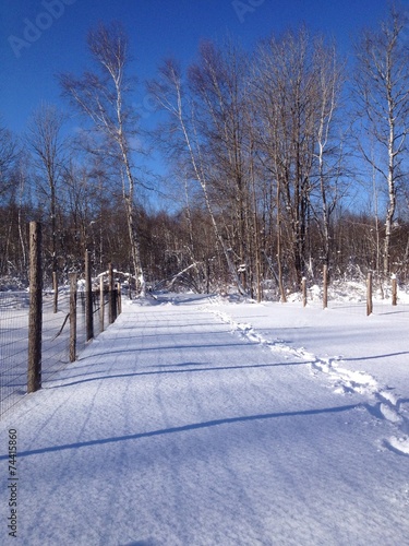 footprints in a snowy parh  photo