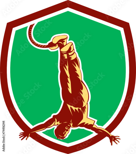 Bungy Jumping Retro Shield