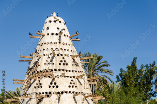 Tauben mit Taubenturm in Ägypten photo