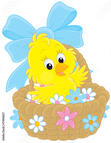 Easter Chick in a basket with flowers